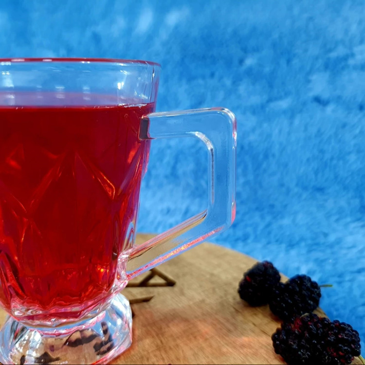 ماگ چای اونیکس مدل اسپکترال کد 448 بسته 6 عددی