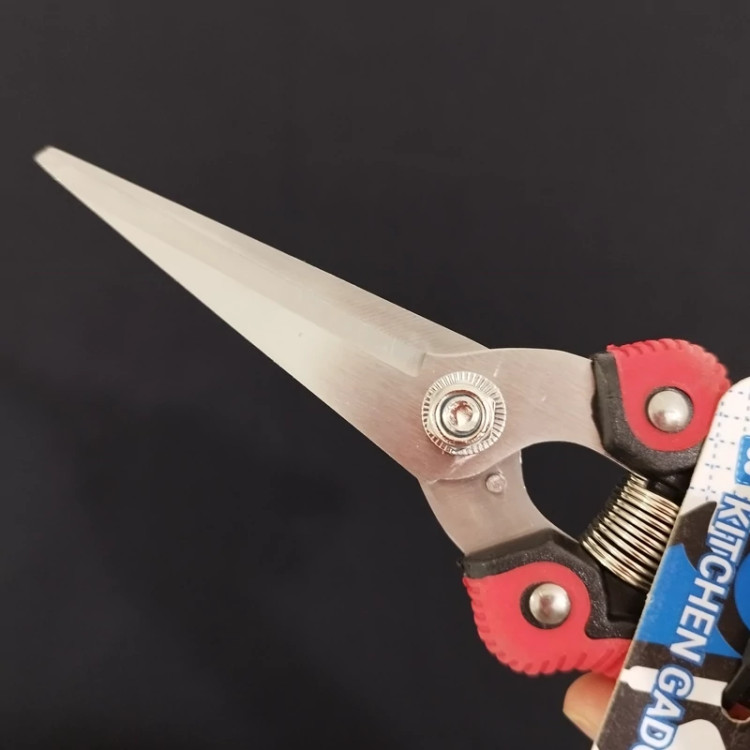 قیچی باغبانی استیل دسته PVC ریور کد 81007