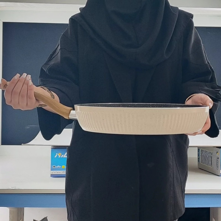 تابه تکدسته گرانیتی سایز 32 EVIZ اویز مدل فورج السا کرم با ضمانت 18 ماهه ارسال رایگان