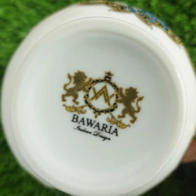 ست 17 پارچه چای خوری چینی BAVARIA مدل پرنس 2017p با ارسال رایگان