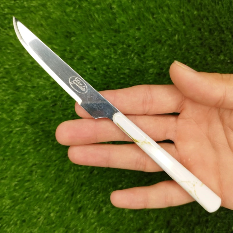 چاقو میوه خوری گیلدا مدل 2066B کد 3 بسته 12 عددی با ارسال رایگان