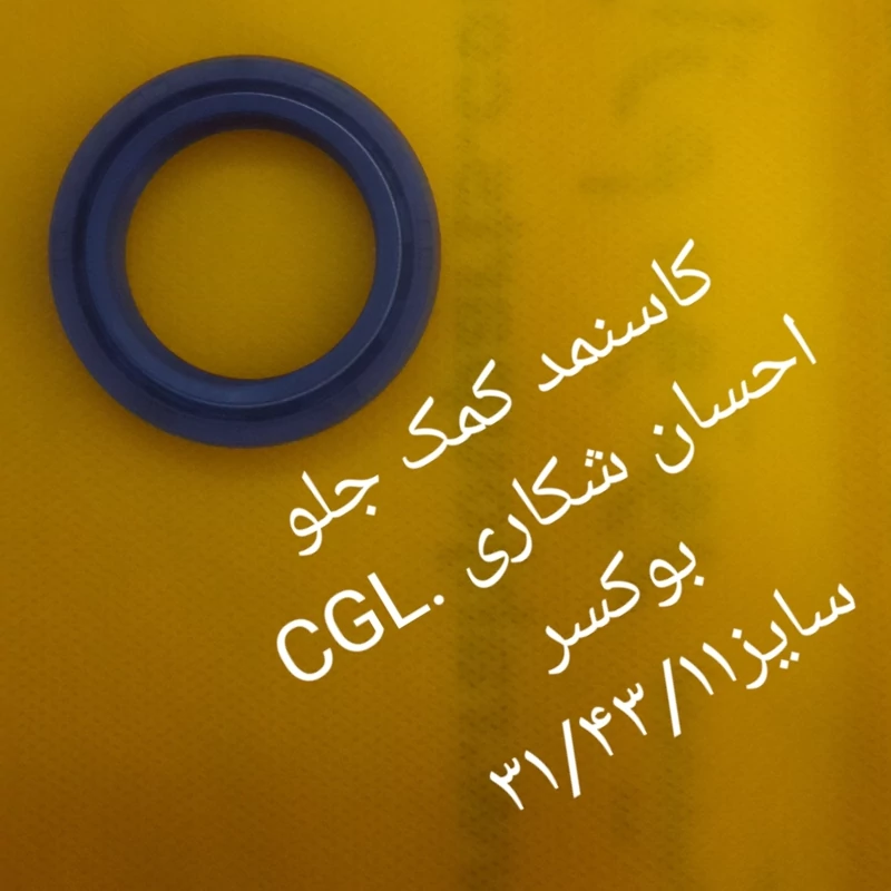 کاسنمد کمک جلو CGL. احسان شکاری. بوکسر