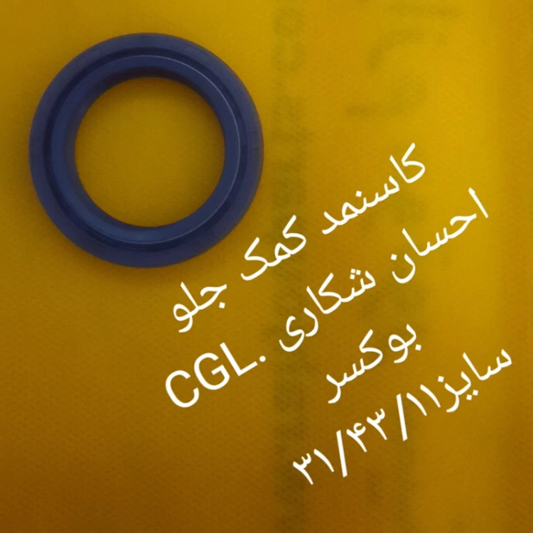 کاسنمد کمک جلو CGL. احسان شکاری. بوکسر