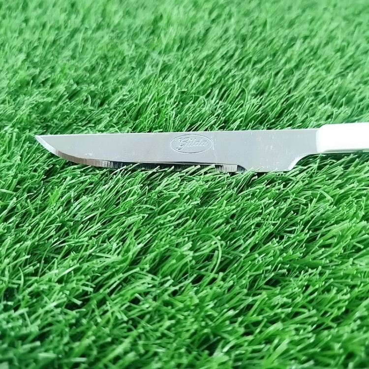 چاقو میوه خوری گیلدا مدل جنوا 2110 کد 3 بسته 12 عددی با ارسال رایگان