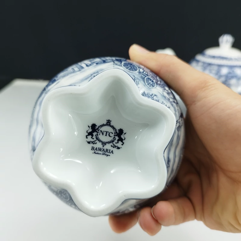 سرویس 17 پارچه چینی باواریا مدل گاردن بلو کد 3121 ارسال رایگان