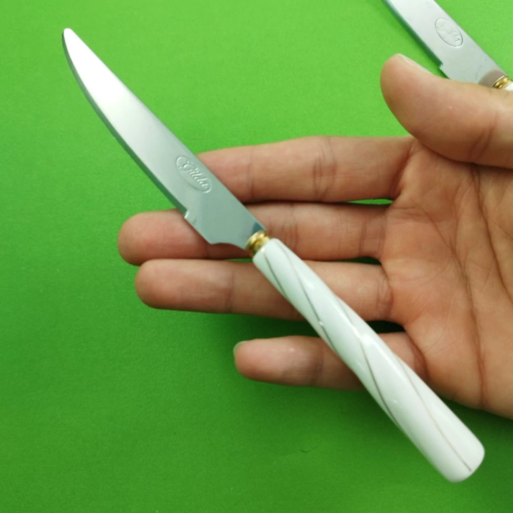 چاقو میوه خوری سرامیک گیلدا پیچ مدل 8070 کد 3 بسته 12 عددی ارسال رایگان