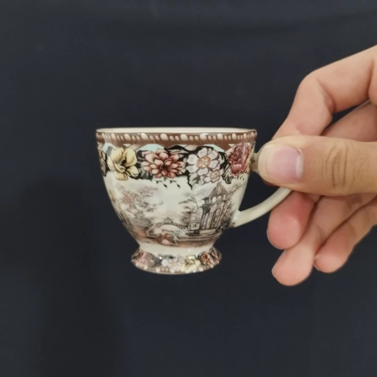 ست فنجان و نعلبکی قهوه خوری چینی BAVARIA مدل گاردن دیت کد 1012A بسته 6+6 عددی ارسال رایگان