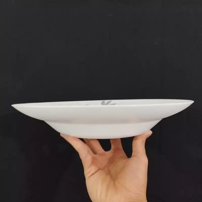 دیس پاستا گلدن اپال مدل شقایق بسته 1 عددی