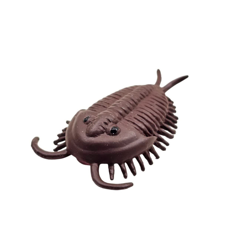 فیگور ناب سل مدل تریلوبیت کد TRILOBITE NAAB031 ارتفاع 2 سانتی متر