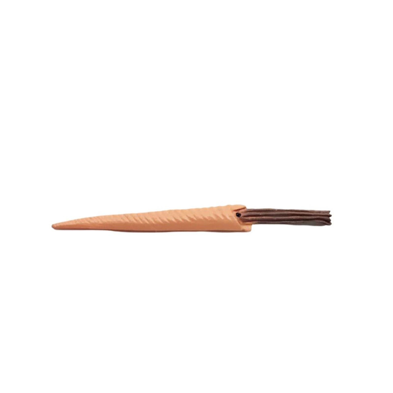 فیگور ناب سل مدل باکولیت کد BACULITES NAAB040 ارتفاع 1 سانتی متر