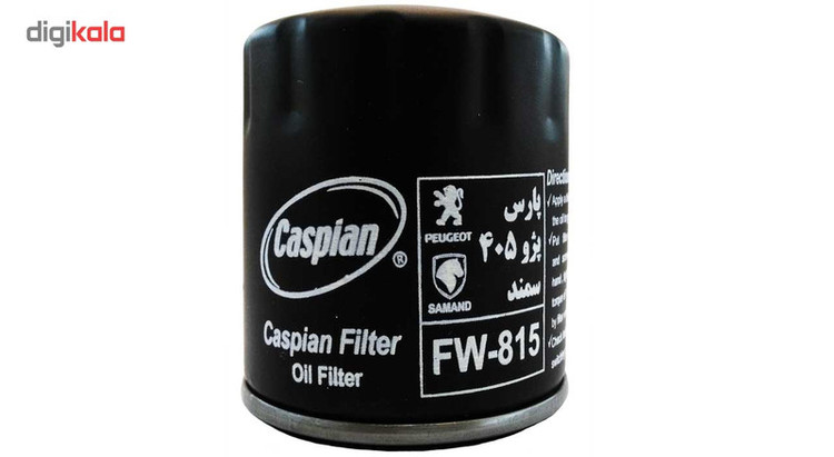 فیلتر روغن خودروی کاسپین مدل FW-815 مناسب برای پژو 405