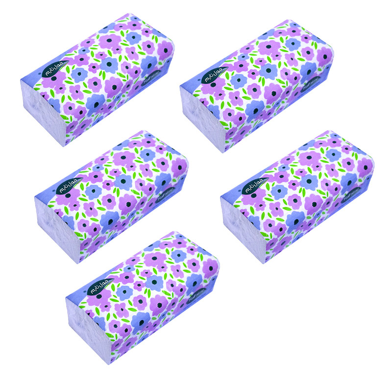 دستمال کاغذی 250 برگ فول تایم مدل دولایه اقتصادی کد M95 بسته 5 عددی