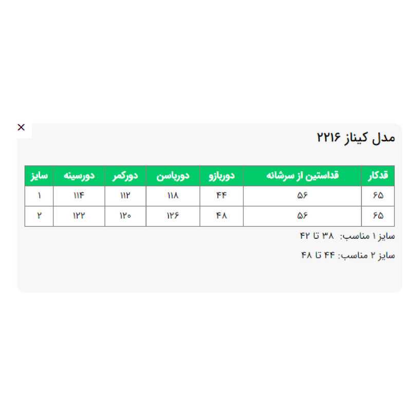 شومیز آستین بلند یقه برگردان زنانه السانا مدل کیناز کد 221605 رنگ آبی تیره