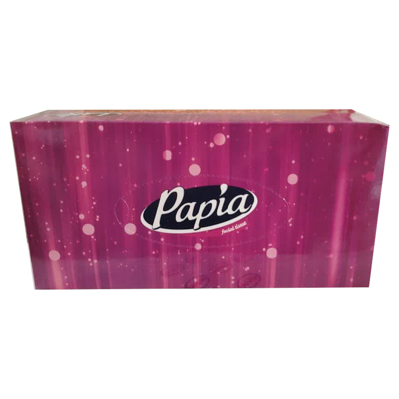 دستمال کاغذی 100 برگ پاپیا مدل karton48 بسته 48 عددی