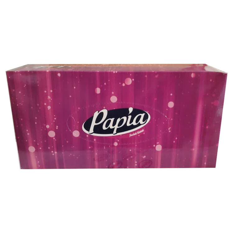 دستمال کاغذی 100 برگ پاپیا مدل karton48 بسته 48 عددی