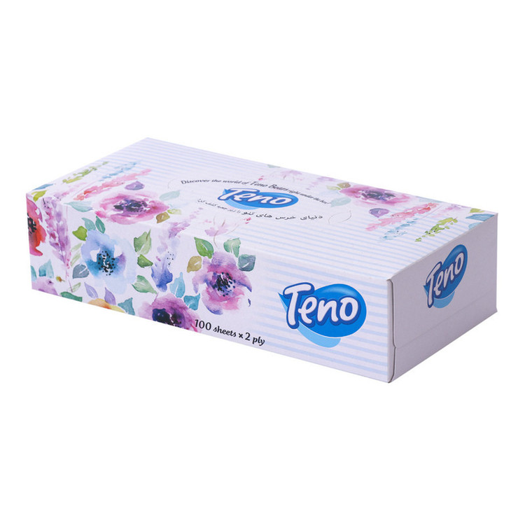 دستمال کاغذی 100 برگ تنو مدل Soft بسته 12 عددی