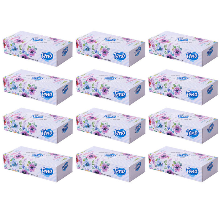 دستمال کاغذی 100 برگ تنو مدل Soft بسته 12 عددی