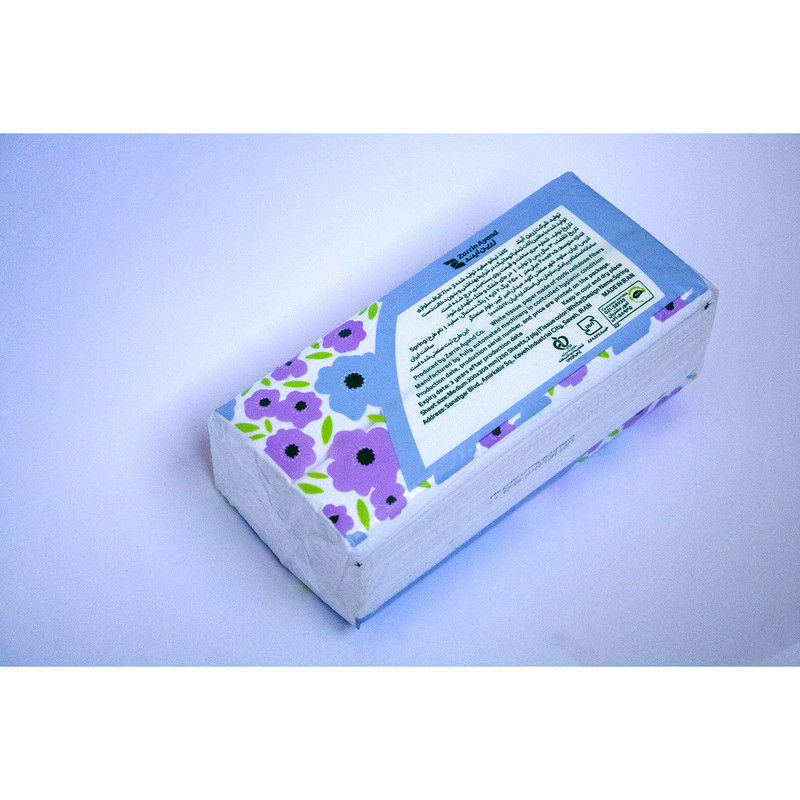 دستمال کاغذی 250 برگ فول تایم مدل دولایه اقتصادی کد M57 بسته 3 عددی