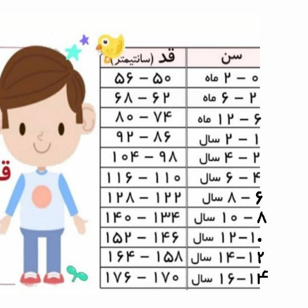 تی شرت آستین بلند دخترانه لوپیلو مدل 9637158