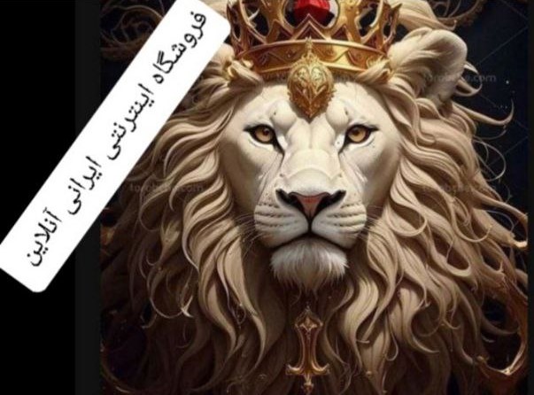 میوه خشک کن دونالکس مدل DN610B